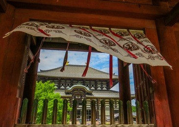 view of the todai-ji temple in nara, japan