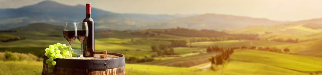 red wine with barrel on vineyard in green tuscany, italy