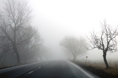 autumn road and fog and the silhouette of trees