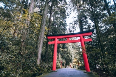 hakone shrine shinto, torii, hakone