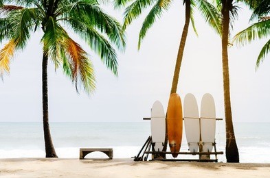 surfboard and palm tree on beach background. vintage tone filter color style. 