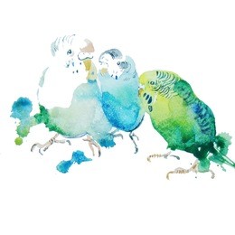 watercolor paint. ideal for childrens print or different events, prints and postcards
