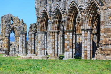 england, north yorkshire, whitby. ruins of benedictine monastery, whitby abbey.