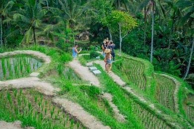 beautiful landscape with green rice terraces near tegallalang village, ubud, bali, indonesia
