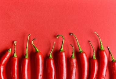 chili pepper on red background, top view
