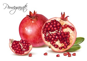vector realistic illustration of pomegranate fruits group isolated on white background. design element for cosmetics, spa, pomegranate juice, health care products, perfume.