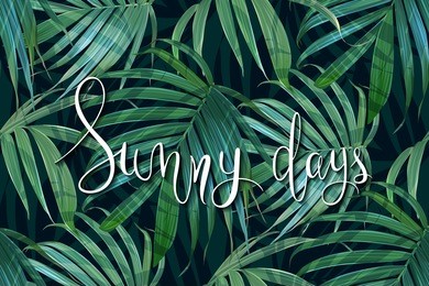 vector tropical palm leaves seamless pattern. floral exotic hawaiian background. banana leaf. hand drawn jungle plants. sunny days handwritten lettering. can be used in web, print, art, textile, card.