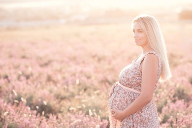 smiling pregnant woman 25-29 year old resting in lavender field. posing outdoors. motherhood. maternity. 20s.