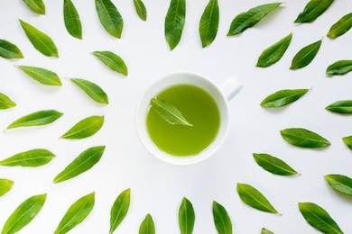 healthy light green tea cup with fresh green leaves flat lay