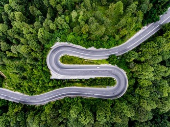 curved bending road in the forest