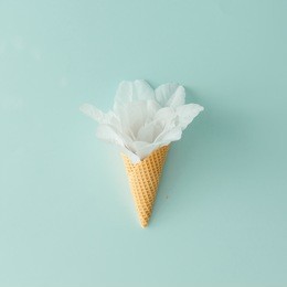 white flower in ice cream cone on pastel blue background. flat lay. summer tropical concept.