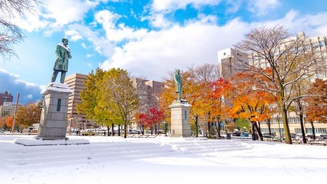 rare scenery at odori park,sapporo city,hokkaido,japan which have snow and color leaf at the same time
