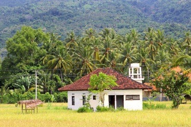 traditional rural farm house between tropical palm trees and mountains, bali, indonesia