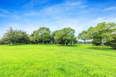 green field and blue sky