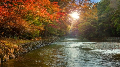 isuzu river that runs through ise jingu naiku(ise grand shrine - inner shrine) in ise city, mie prefecture, japan