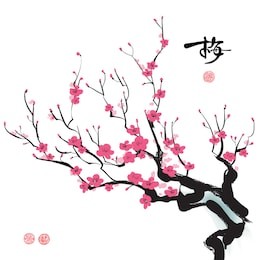 plum blossom