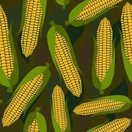 seamless pattern with fresh corn. vector illustration is perfect for fabric, textile, wrapping paper and other decoration design.