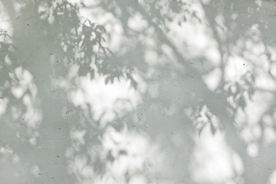 solar glare and shadows on the wall from the leaves