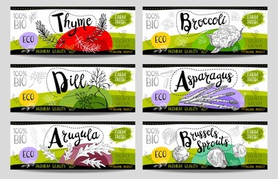 set of colorful stickers sketch style food spices white horizontal. asparagus brussels sprouts broccoli thyme arugula dill. vegetables farm fresh locally grown  hand drawn vector illustration