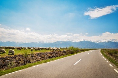 country side road in romania