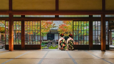 japanese geisha at look at a japanese garden in colorful autumn at kenninji temple in kyoto