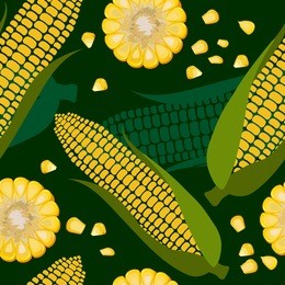 vector seamless pattern with fresh corn, seed corn, ripe corn cobs. beautiful exotic collection for your design in realistic style. perfect for fabric, textile, wrapping paper and other decoration.
