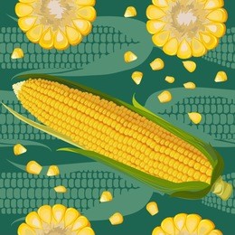 vector seamless pattern with fresh corn, seeds corn, ripe corn cobs. beautiful exotic collection for your design in realistic style. perfect for fabric, textile, wrapping paper and other decoration.
