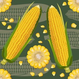 vector seamless pattern with fresh corn, seeds corn, ripe corn cobs. beautiful exotic collection for your design in realistic style. perfect for fabric, textile, wrapping paper and other decoration