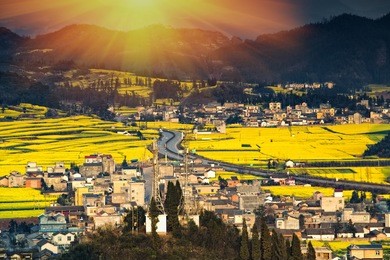 landscape of golden rooster hill:luoping,yunnan,china.
