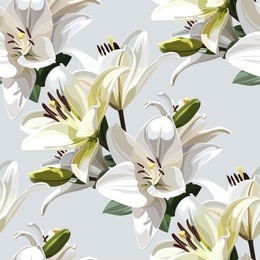 white flowers of lily (madonna lily). seamless floral pattern on light background.