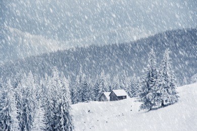 trees covered with hoarfrost and snow in mountains. mountain house