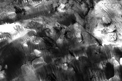 abstract ink background. marble style. black paint stroke texture on white paper. wallpaper for web and game design. grunge mud art. macro image of pen juice. dark smear.
