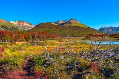 gorgeous landscape of patagonia's tierra del fuego national park in autumn, argentina