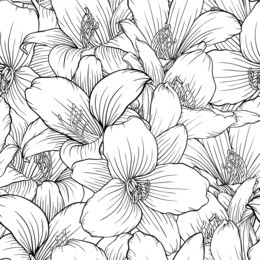 beautiful monochrome, black and white seamless pattern with lilies. hand-drawn contour lines. design greeting card and invitation of the wedding, birthday, valentine's day, mother's day, other holiday