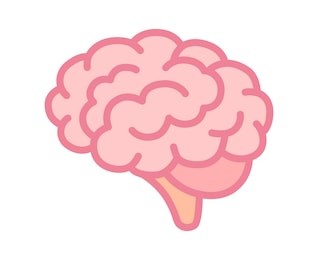 brain or mind side view line art color vector icon for medical apps and websites