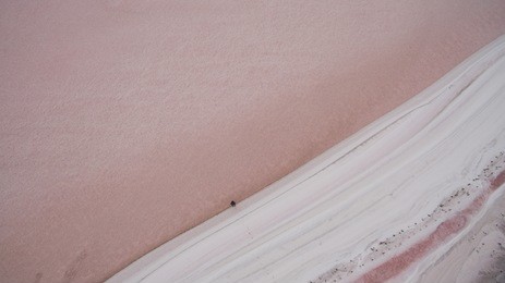people are traveling on a pink lake.