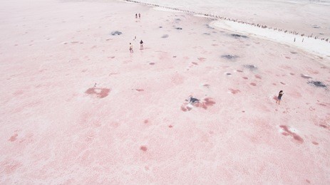 people are traveling on a pink lake.