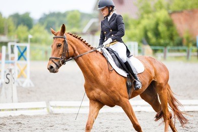 young rider girl on sorrel horse at dressage equestrian competition