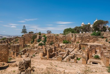 ancient ruins on the birsa hill in carthage. tunisia. carthage is the world heritage of unesco.