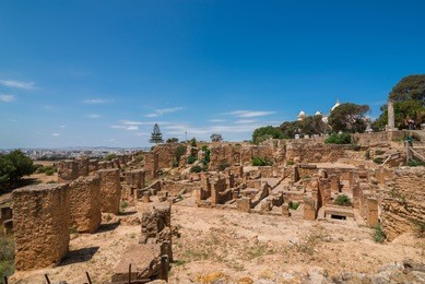 ancient ruins on the birsa hill in carthage. tunisia. carthage is the world heritage of unesco.