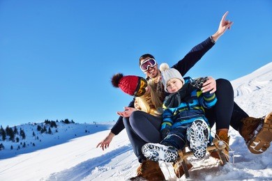 the happy family rides the sledge in the winter wood, cheerful winter entertainments
