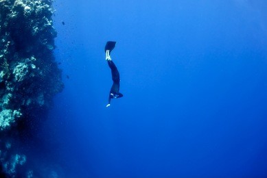 the freediver moves underwater near the coral reef at the depth of blue hole. read sea, egypt.