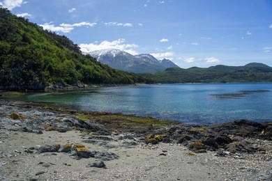 view of a beach in tierra del fuego national park, argentina.