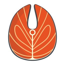 raw salmon steak, flat vector illustration with fish meat.