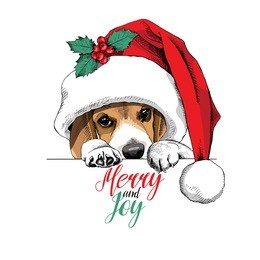 beagle dog in a big santa's cap and with a holly berry. vector illustration.