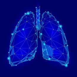 human internal organ lungs. low poly technology design. blue color polygonal triangle connected dots. health medicine icon background vector illustration