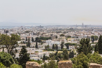 top view of tunis, the capital of tunisia