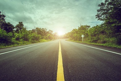 curved road,trees and grass on roadside. landscape with sky and sun.
