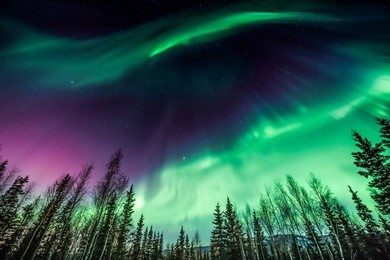 purple and green northern lights in wave pattern over trees