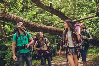 low angle close up photo of four friends enjoying the beauty of nature, hiking in wild forest, looking for a nice place for camp, smiling, exploring, jungle trail